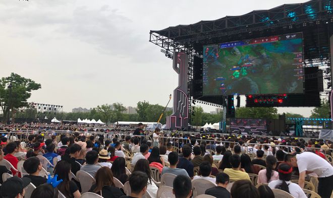 因为它不仅 因为它不仅